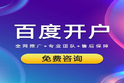 竞价推广策略：某电商平台的成功之路